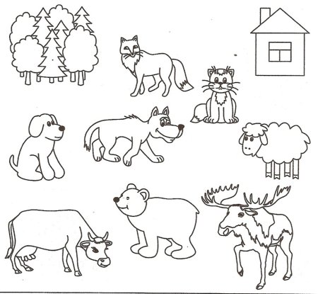 Дикие животные для детей