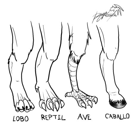 Фурри лапы сзади