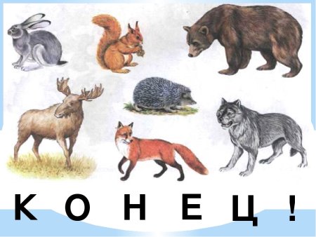 Малыши. Домашние животные