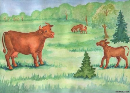 Раскраска домашние животные