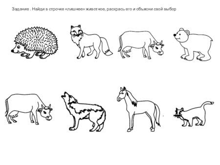 Домашние животные задания