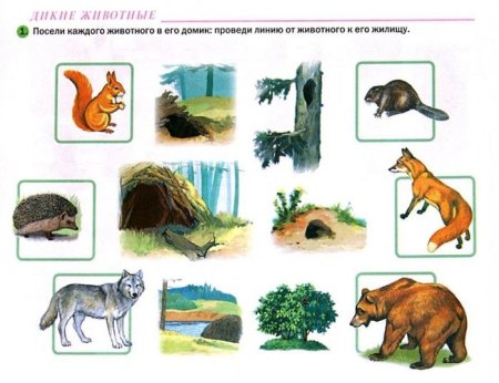 Игра где чей домик Дикие животные