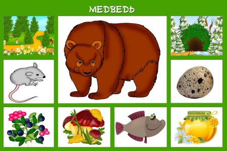 Кто чем питается дидактическая игра