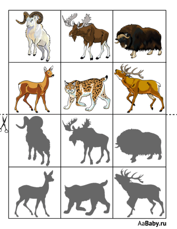 Тени домашних и диких животных для дошкольников