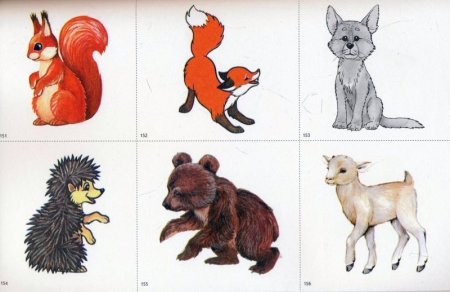 Звери для дошкольников