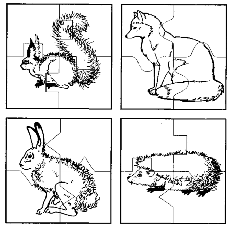 Дикие животные задания для детей