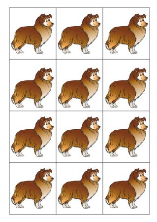 Раздаточный материал животные