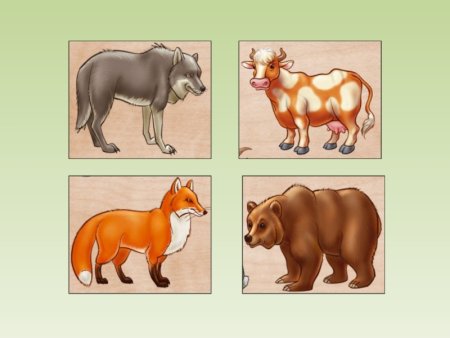 Четвертый лишний Дикие животные