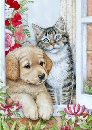 Собачки и кошечки