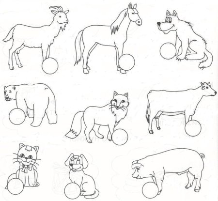 Животные задания для дошкольников