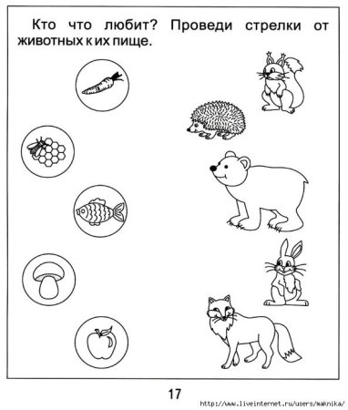 Раскраска Лесные животные