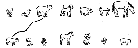 Дикие животные задания для дошкольников