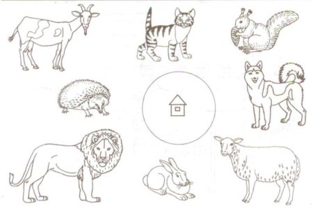 Дикие и домашние животные раскраска