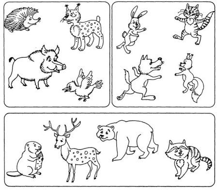 Животные задания для детей
