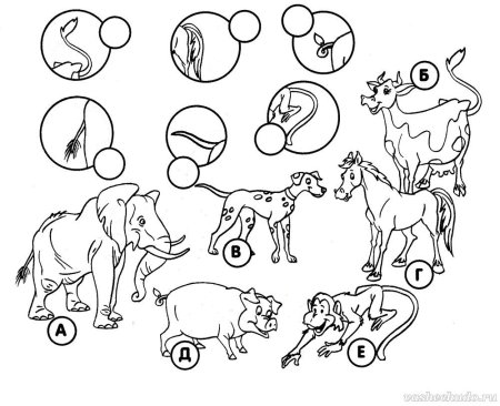 Жилища животных задания для дошкольников