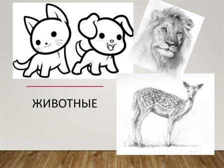 Рисунок животного для презентации