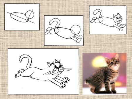 Рисование животных 2 класс