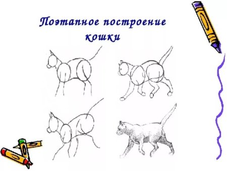 Изо изображение животного