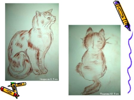 Котик 5 класс изо