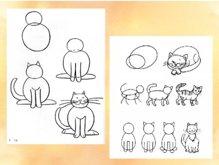 Рисование домашних животных в старшей группе