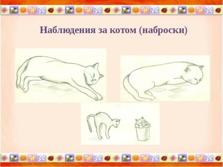 Наблюдения за котом Наброски