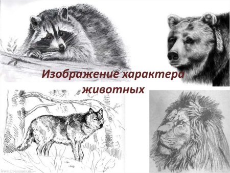 Изображение характера животных