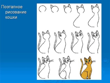 Изображение характера животных