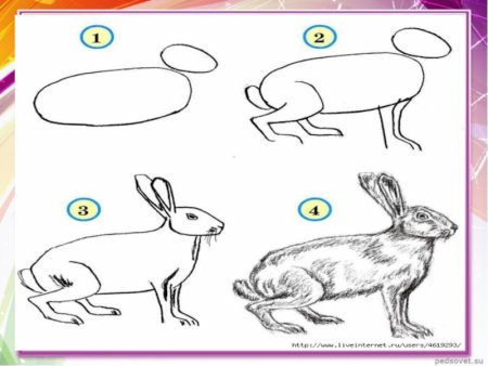 Изо про животных