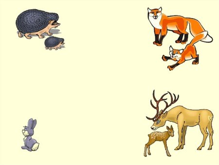 Четвертый лишний Дикие животные