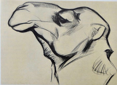 Василий Алексеевич Ватагин 1883-1969