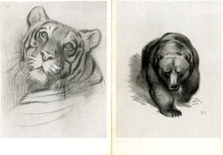 В.А.Ватагин Амурский тигр