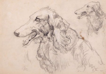 Серов анималист