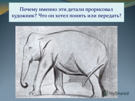 Ватагин художник анималист слон