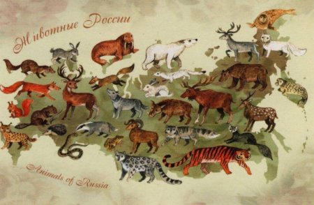 Карта животных России