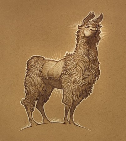 Рисунок ламы для срисовки