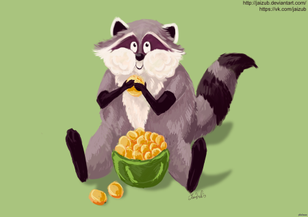 Енот с едой
