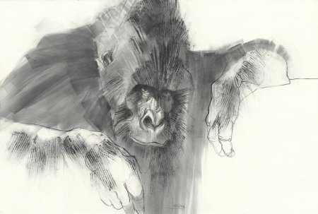 Академический набросок животные