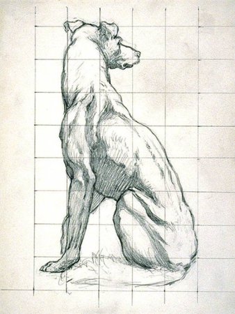 Животные зарисовки