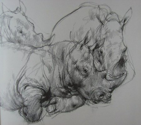 Набросок лошади Виктор Амбруш