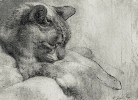 Кот Академический рисунок