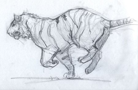Академические Наброски животных