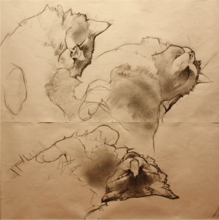 Академические Наброски животных