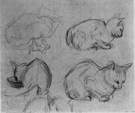 Зарисовки животных с натуры