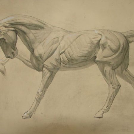 Жерико гипсовое Экорше лошадь