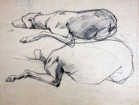 Академические Наброски животных