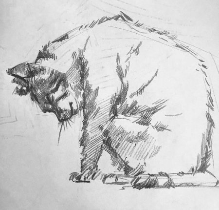 Пленэр этюды животных