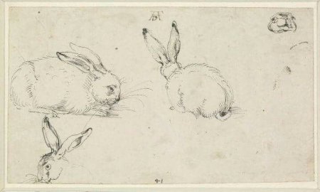 Альбрехт Дюрер зарисовки животных