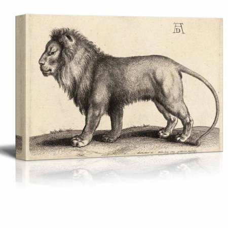 Лев старинная гравюра