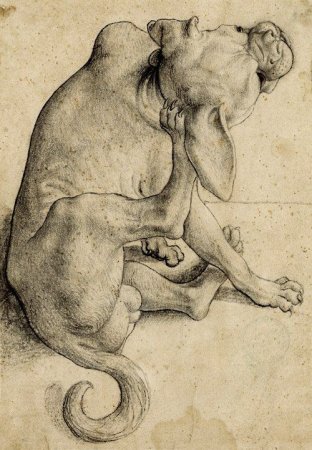 Альбрехт Дюрер собаки