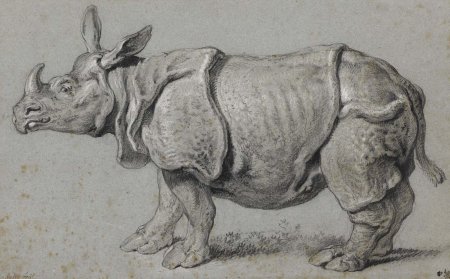 Альбрехт Дюрер носорог гравюра